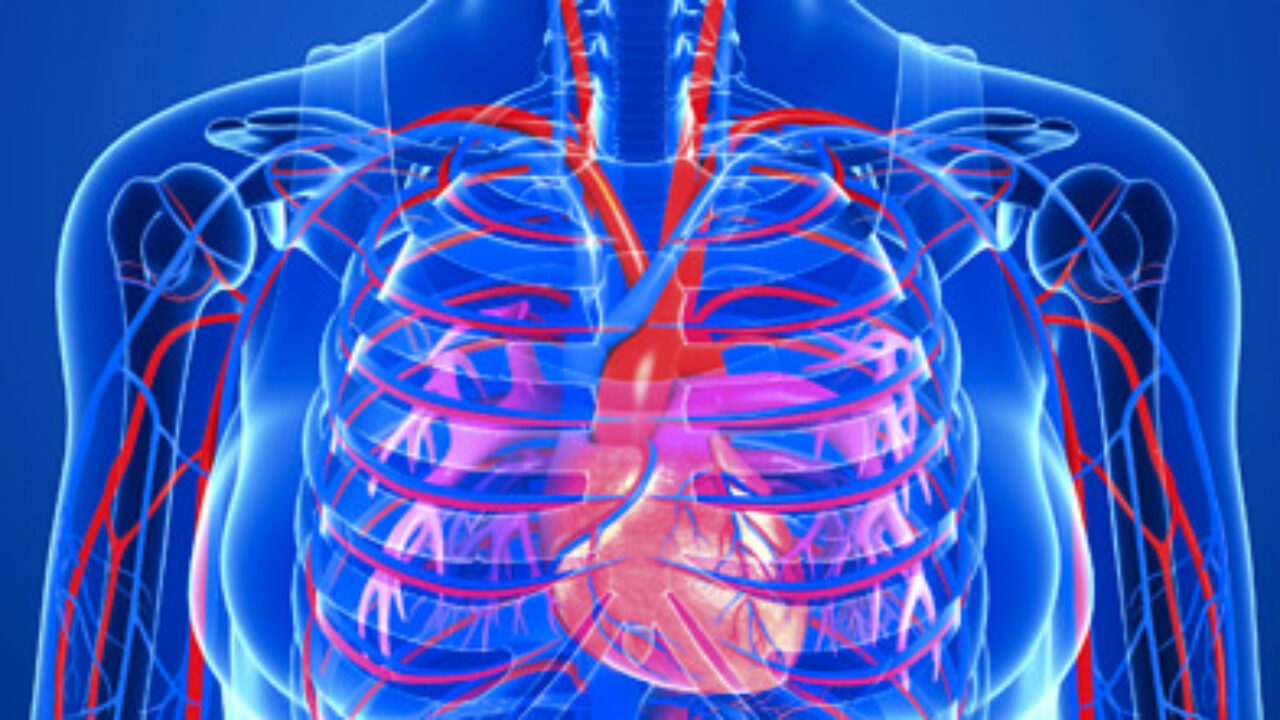 pathologie rencontrée en cardiologie