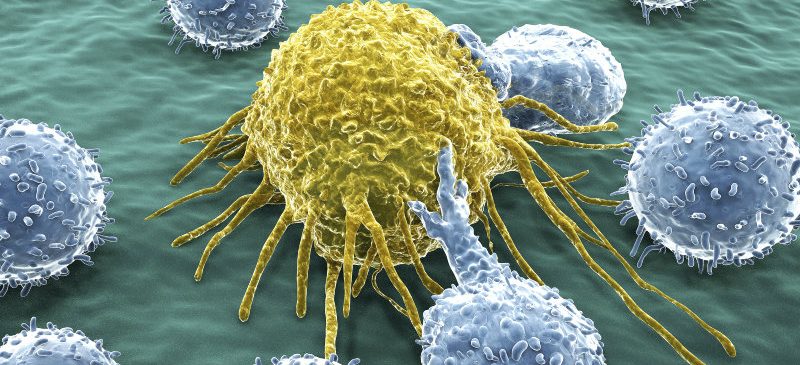 L’immunothérapie pour le cancer de la peau L’immunothérapie pour le cancer de la peau