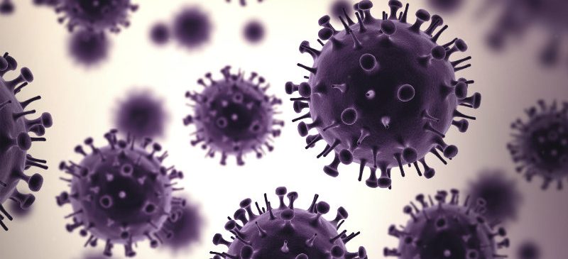 Un anti-viral conçu par un ordinateur Un anti-viral conçu par un ordinateur