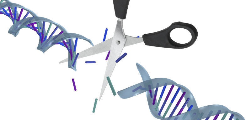 bientot modification ADN humain