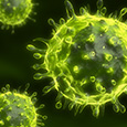 Virus