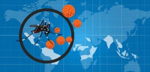 Virus Zika : bientôt un vaccin chez l’homme ?