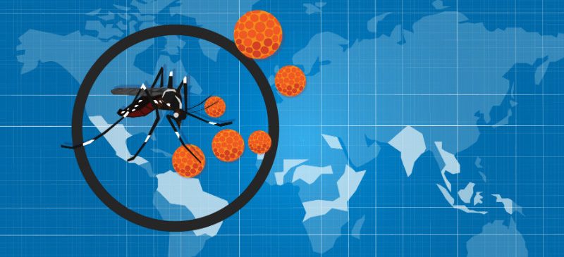 Virus Zika : bientôt un vaccin chez l’homme ? Virus Zika : bientôt un vaccin chez l’homme ?