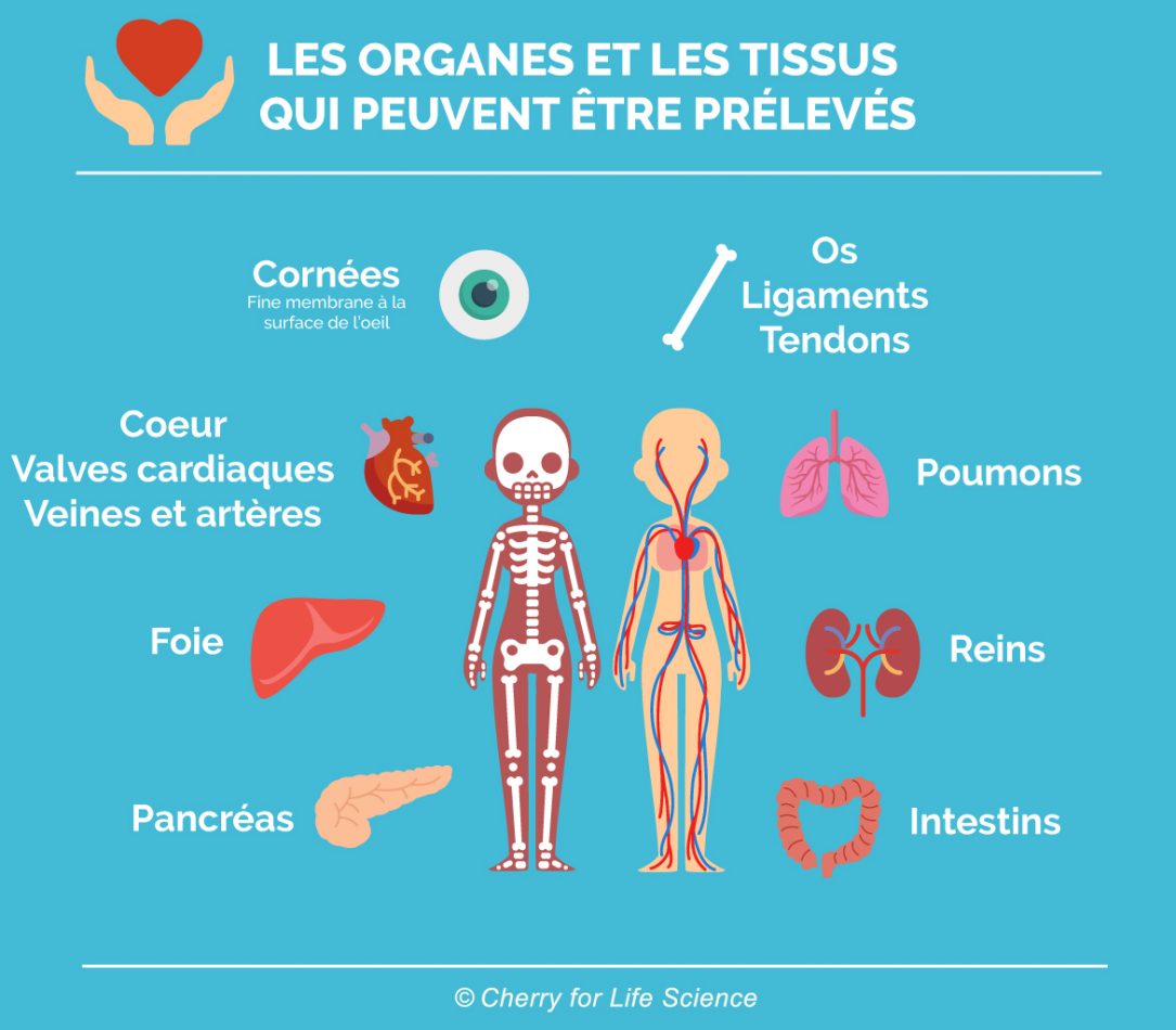 Pour ou contre le don en France, à chacun sa position