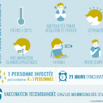 Infographie : oreillons Infographie : oreillons