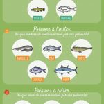 infographie : poisson pendant la grossesse infographie : poisson pendant la grossesse