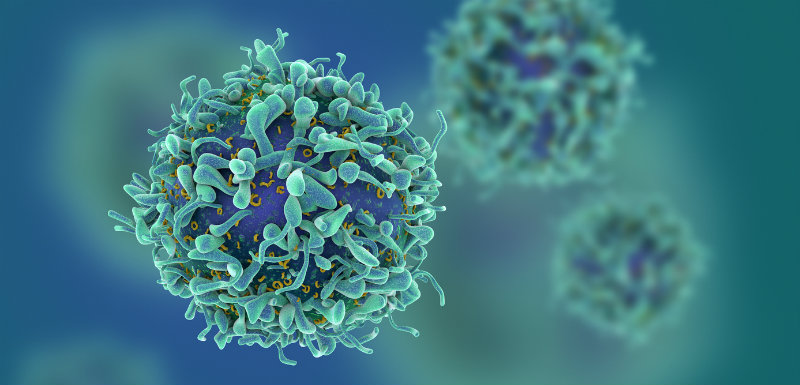 Cellule virus cancer