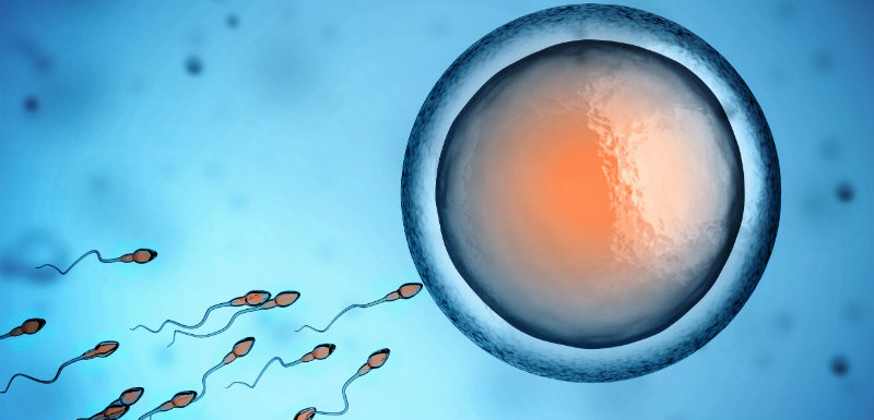 RÃ©sultat de recherche d'images pour "infertilitÃ© fertilite"