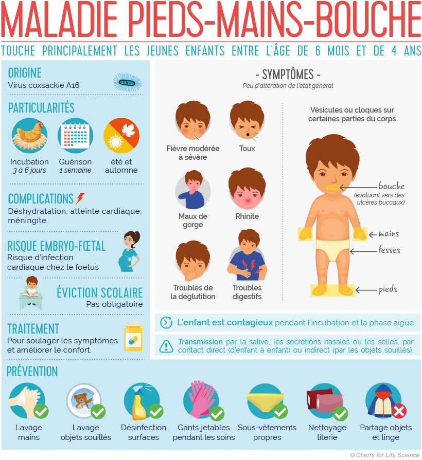 Syndrome Ou Maladie Pieds Mains Bouche Sante Sur Le Net