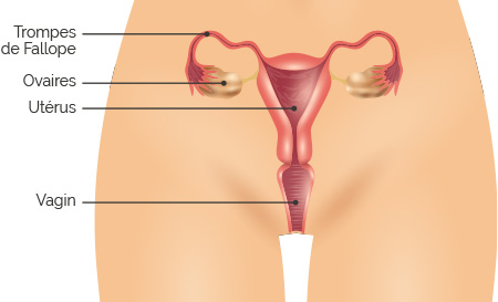 causes infertilite femme