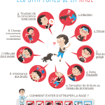 Infographie : les symptômes de la rage Infographie : les symptômes de la rage