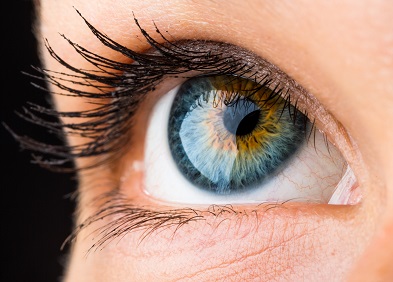 Glaucome Types Symptomes Diagnostic Suivi Traitements Glaucome Types Symptomes Diagnostic Suivi Traitements