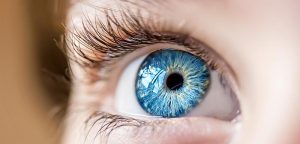 Dyslexie :  la faute à l’anatomie des yeux ?