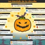Infographie : Les bienfaits de la citrouille Infographie : Les bienfaits de la citrouille