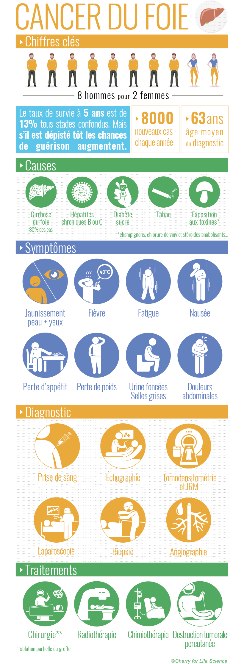 Cancer du foie : définition, symptômes et traitements