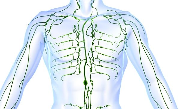 Lymphoedème : définition, symptômes et traitement - Santé sur le Net