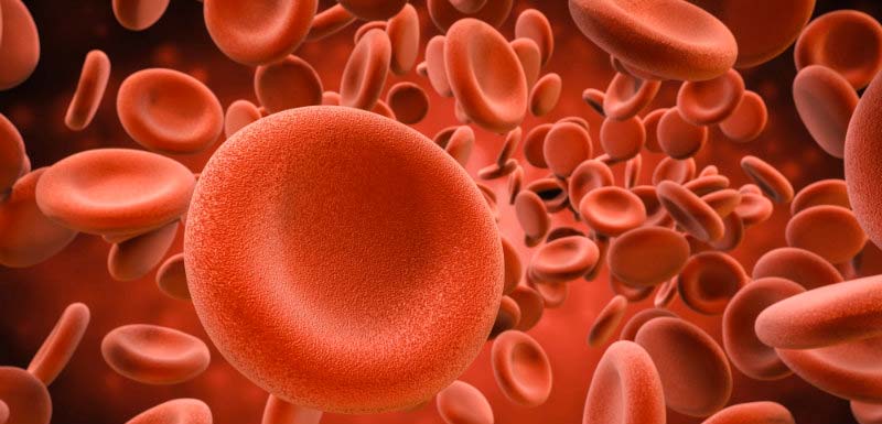 Globules rouges - Don du sang