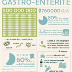 Infographie : gastro-entérite Infographie : gastro-entérite