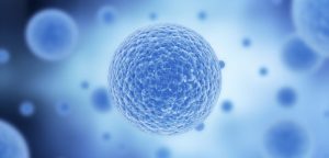 Drépanocytose : vers la guérison grâce aux cellules souches