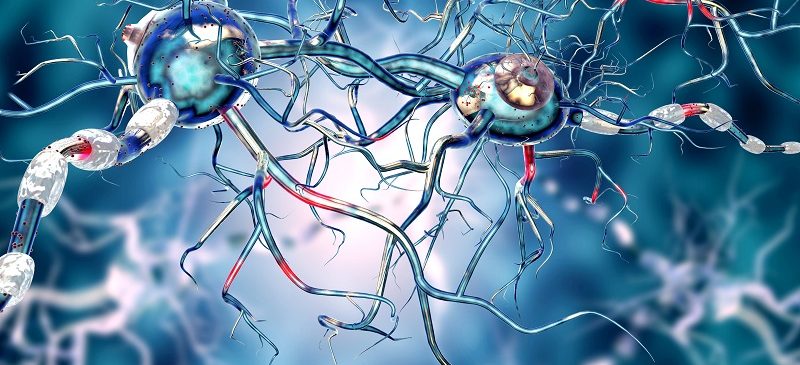 Maladie de Parkinson : un coupable nommé calcium ? Maladie de Parkinson : un coupable nommé calcium ?