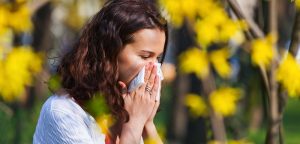 Allergies respiratoires : le point sur la désensibilisation