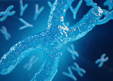 chromosome