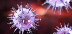 Un lien entre le virus de la mononucléose et 7 maladies auto-immunes
