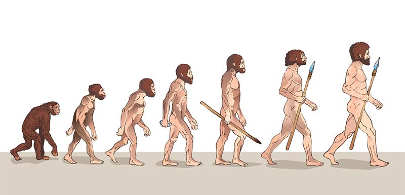 evolution-etre-humain.jpg