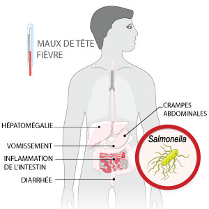 Duree incubation gastro