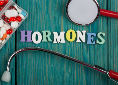 Hormones féminines : Types, Cycle menstruel, Grossesse, Allaitement...