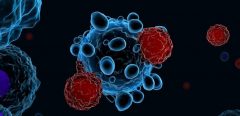 Les cellules CAR-T dans le traitement des leucémies