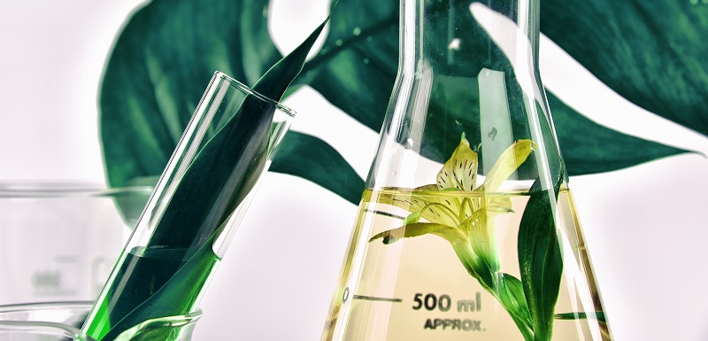 industrie cosmétique innovations