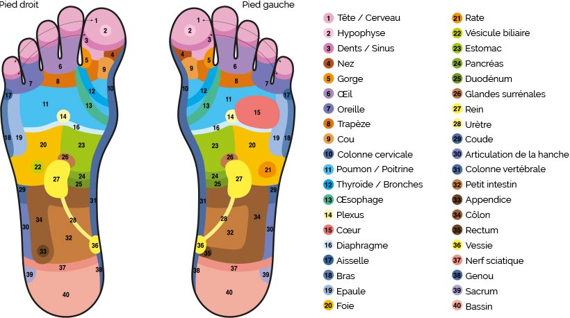 réflexologie des pieds