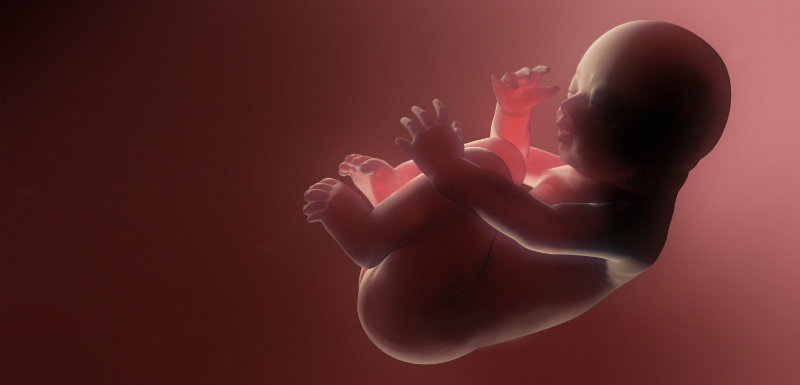 mort-foetale-conception