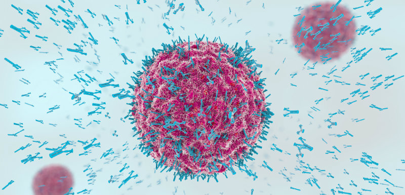 Une nouvelle génération d'anticorps contre le cancer - Santé sur ...