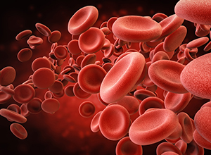Globules rouges dans les veines pour la coagulation