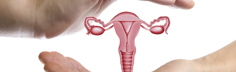 Système de reproduction féminin protégé par des mains de insuffisance ovarienne