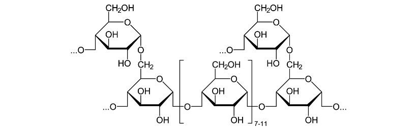 glycogenoses-affections-organes-symptomes