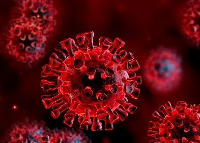 coronavirus