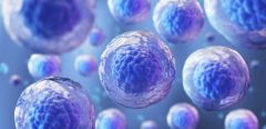 COVID-19 : les scientifiques s’intéressent aux cellules souches du sang