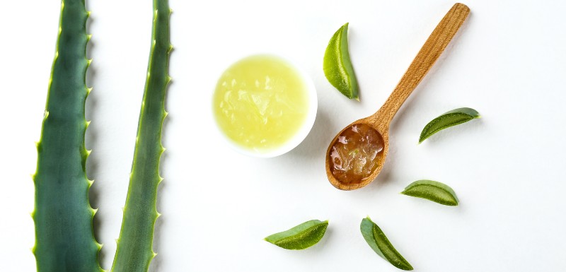 Feuilles d'aloe Vera posées sur une table pour réaliser une préparation de cosmétique