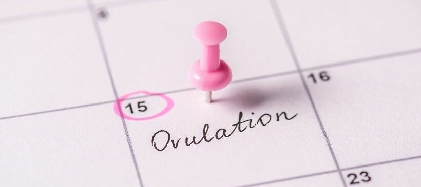 Quel délai pour une grossesse, après l’arrêt de la contraception ? Quel délai pour une grossesse, après l’arrêt de la contraception ?