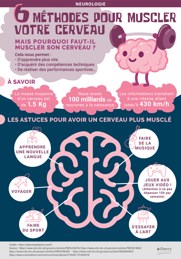 Comment exercer votre cerveau et votre motricité ? - SmartGames