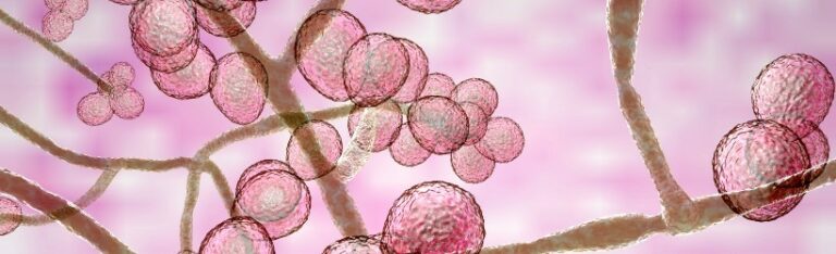 Candidoses : Définitions, symptômes, diagnostic et traitements