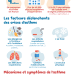 Infographie-Asthme-france Infographie: l'asthme en France