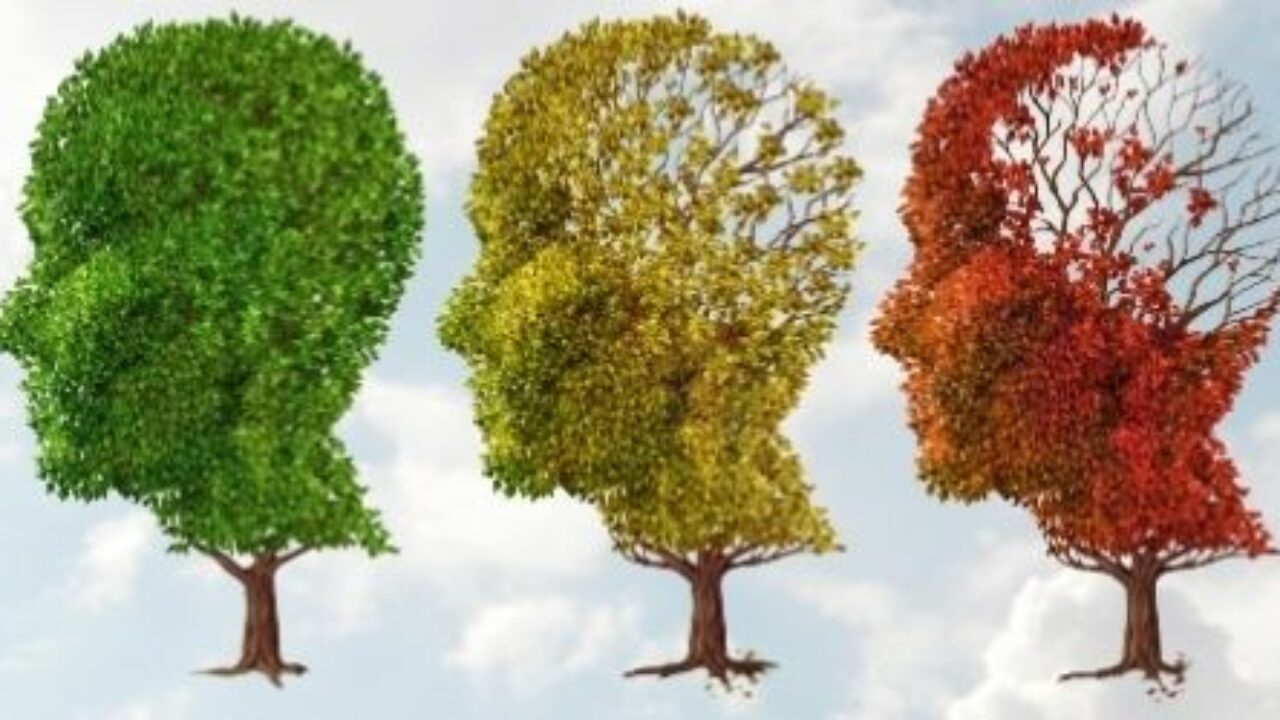 Alzheimer's disease: definition, symptoms and treatments