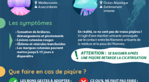 piqure-meduse-01 Infographie sur les piqûres de méduses