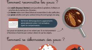 Infographie-poux-20220709-01
