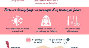Infographie-bouton-fievre-01 Le bouton de fièvre
