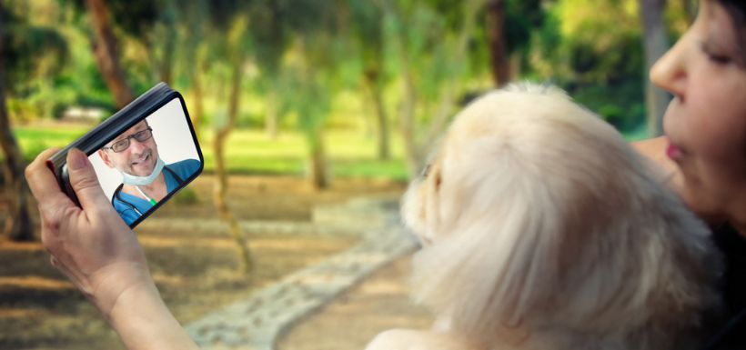 header article doctopet plateforme santé pour animaux